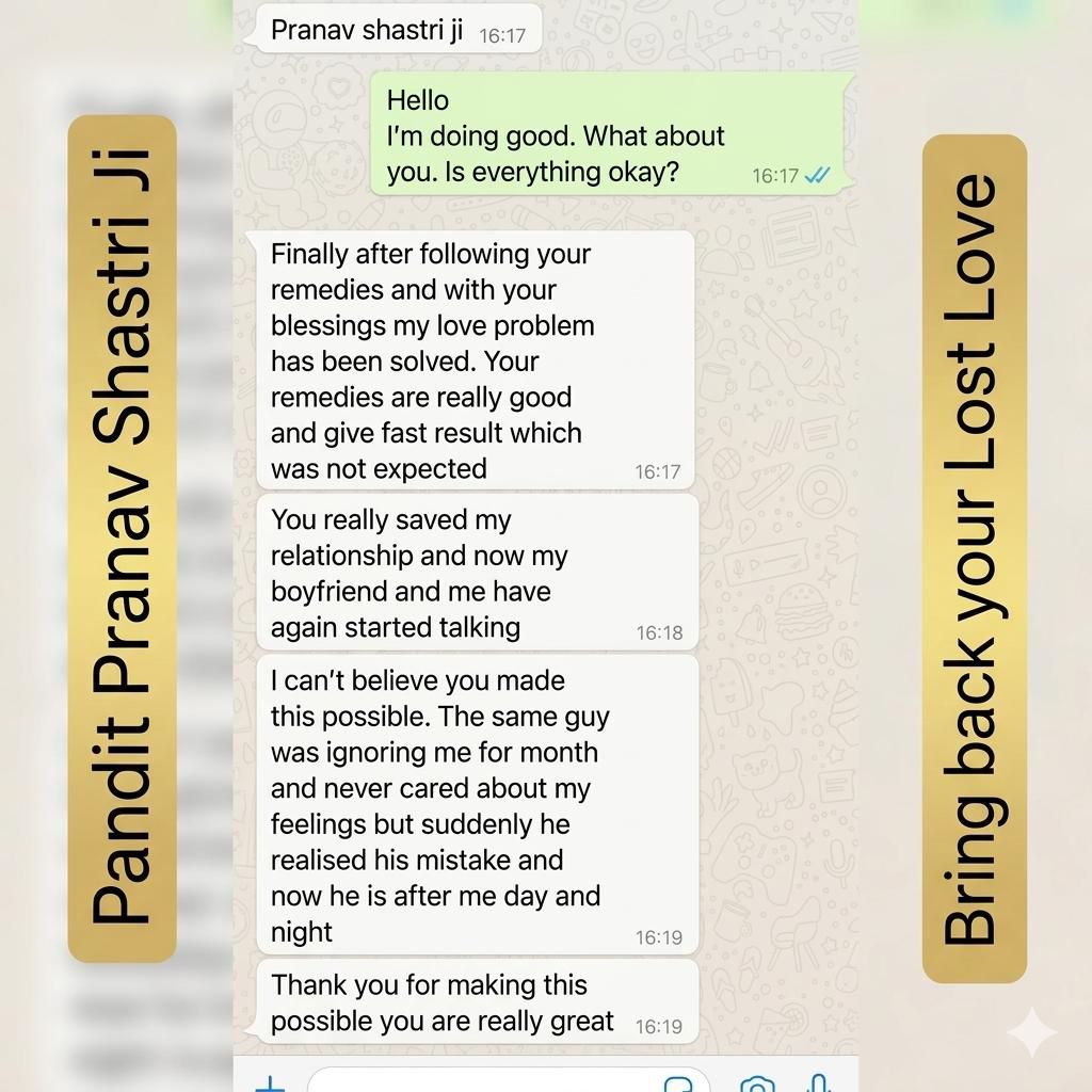 WhatsApp feedback